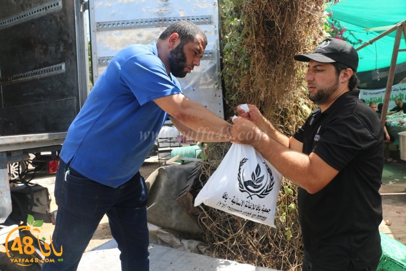 lod8om ada73y (18).JPG